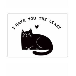 “I Hate You the Least” Cat Magnet